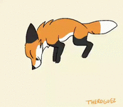 fox-10856.gif