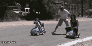 goggie-gif-race-for-the-finish.gif
