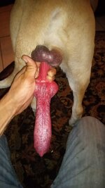 IMG_20230214_164110_073.jpg