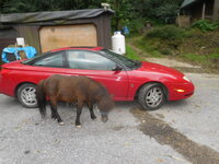 DSCN9203.JPG
