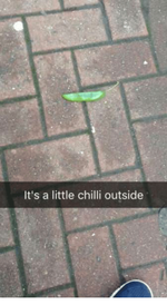 1678138413804.png