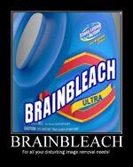 MotivatorBrainBleach2.jpg