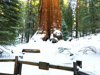 kings-canyon1.jpg