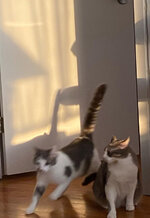 DA33950C-E1EE-4ED3-9083-9019CEA062AA.jpeg