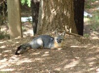 FB_IMG_1680118383645.jpg