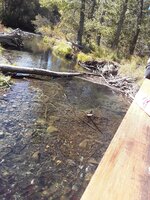 20191006_135429_009.jpg