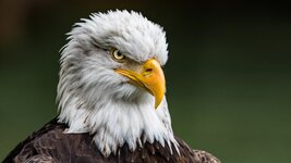 GettyImages-1153196344-1.jpg