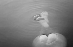 FB_IMG_1681895199229.jpg
