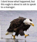 C6D3A4C5-70D1-413F-BB2A-48A6BFE93202.jpeg