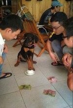 13015239_1335055789842868_8197544112811605834_n.jpg