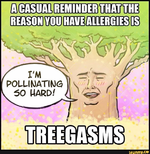 1682732467492.png