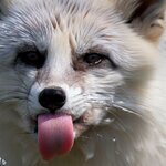 _35c8d461-780b-4ce0-a8ec-afe8fdc538b3.jpg