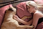 napping_with_pets_640_07.jpg