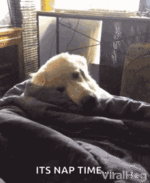 1683574024468.gif