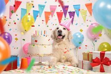 golden-retriever-birthday-party-header.jpg