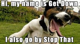 dog-name-lol-meme.jpg