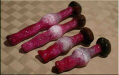 wands.jpg wands.jpg