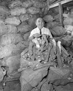 Harry Tulkoff g.jpg