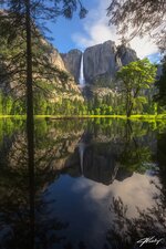 Reflecting on Spring in Yosemite.jpg