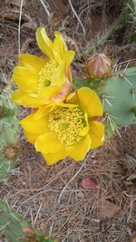 IMG-20230512-WA0001.jpg