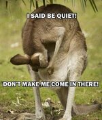 f86960afdf0c81b8daa8b18c20cb1da8--kangaroos-funny-things.jpg