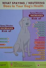 spay_neuter_dog_health_chart.jpg