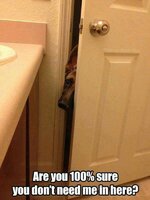 FB_IMG_1686996727265.jpg