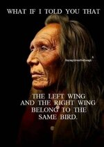 FB_IMG_1687458700684.jpg