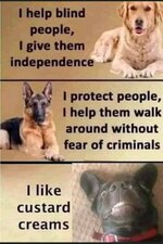FB_IMG_1687464715819.jpg
