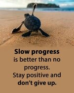 FB_IMG_1687548871658.jpg