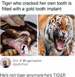 1687600409287.jpeg