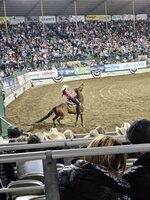 Barrel Racer about to launch.jpg
