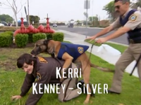 Reno 911.png