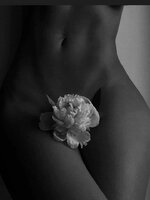 A Rose, by any other name.jpg