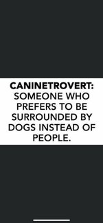 FB_IMG_1688158170831.jpg