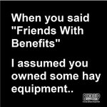 FB_IMG_1688277070448.jpg