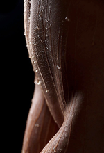 913CE2ED-55AF-4BC6-AEA1-2F96DF4E00D6.png