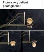 FB_IMG_1689454128258.jpg