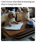 1689501989656.jpeg