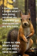 FB_IMG_1689624849772.jpg
