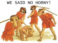 IMG_2590.jpeg