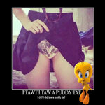 tweety-bird-puddy-tat.jpg