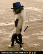 1690513647719.gif