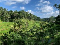IMG_2934.jpeg