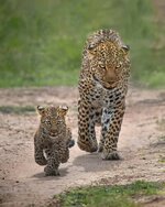 FB_IMG_1690836352998.jpg