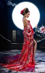 Geisha.jpg
