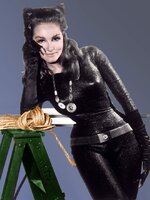 636056642668934119-2.-Publicity-shot-of-Julie-Newmar-as-Catwoman.jpg