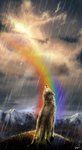 rainbow-wolf-element-pack-23005276-659-1212.jpg
