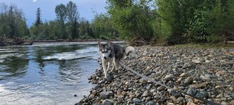 IMG_20230908_175115_883.jpg