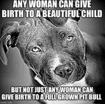 can-give-birth-beautiful-child-but-not-just-any-woman-can-give-birth-full-grown-pit-bull-imgf...jpeg